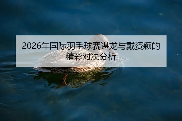 nian-guo-ji-yu-mao-qiu-sai-chen-long-yu-dai-zi-ying-de-jing-cai-dui-jue-fen-xi-2-506.jpg