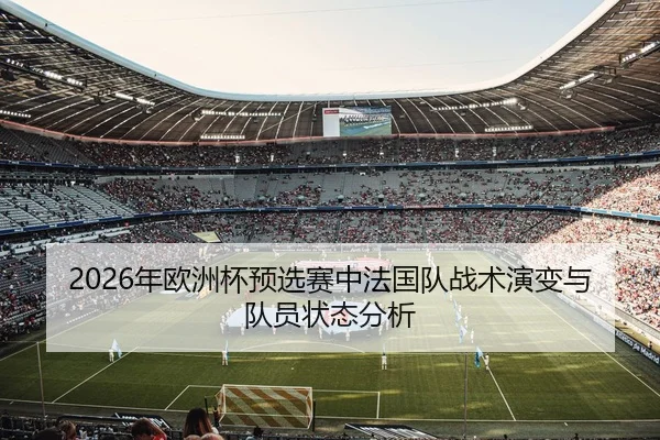 2026年欧洲杯预选赛中法国队战术演变与队员状态分析