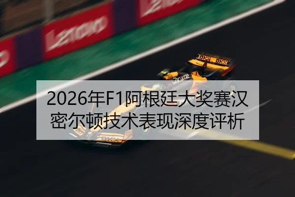 nian-a-gen-ting-da-jiang-sai-han-mi-er-dun-ji-shu-biao-xian-shen-du-ping-xi-1-822.jpg