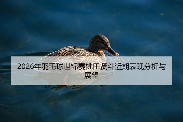 nian-yu-mao-qiu-shi-jin-sai-tao-tian-xian-dou-jin-qi-biao-xian-fen-xi-yu-zhan-wang-1-715.jpg